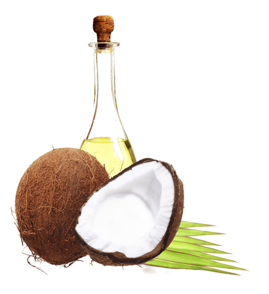 Home - Coconuten